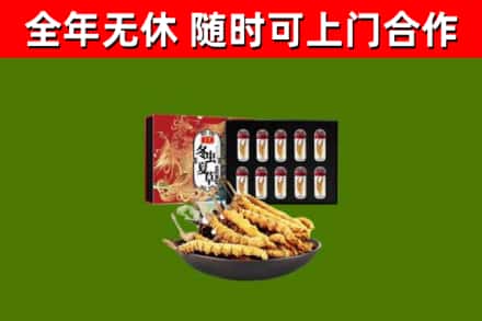 东丰烟酒回收冬虫夏草礼盒.jpg